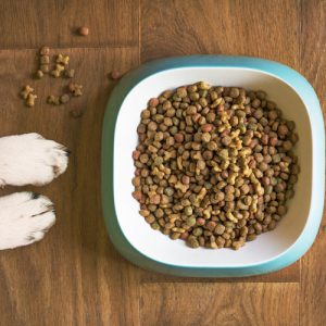 Futtermittel Überprüfung „Basis“