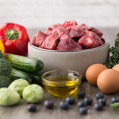 Erstellung Ernährungsplan gesunder adulter Hund