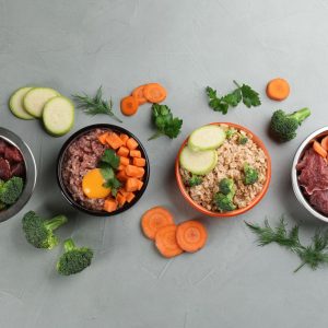 Darmsanierung „Basis“