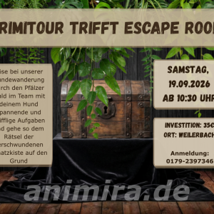 Krimitour trifft Escape Room
